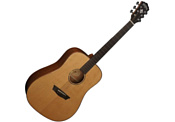 Washburn WD160SW