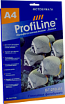 ProfiLine PL-GP-210-A4-50