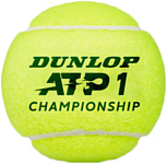 Dunlop ATP Championship (3 шт)