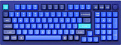 Keychron Q5 RGB Q5-O2-RU Gateron G Pro Blue