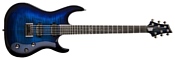 Washburn PXMTR20