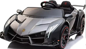 Chi Lok Bo Lamborghini Veneno 2022 (черный)