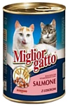 Miglior Gatto Classic Line Chunks Salmon