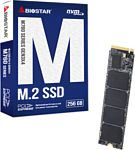 BIOSTAR M760 256GB M760-256GB
