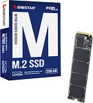 BIOSTAR M760 256GB M760-256GB