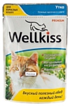Wellkiss Нежные кусочки утка в соусе для кошек пауч (0.1 кг) 1 шт.