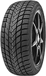 Delinte Winter WD6 225/50 R17 98H
