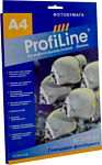 ProfiLine PL-GP-210-A4-25