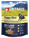 Ontario (0.75 кг) Puppy Mini Lamb & Rice