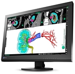 Eizo RadiForce MX242W