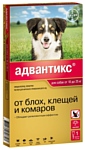 Адвантикс (Bayer) Капли на холку для собак 10–25 кг (1 пипетка)