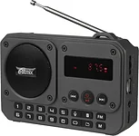 Ritmix RPR-010