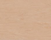 Синтерос HORIZON CHORI-008 (CHORI-008) Синтерос HORIZON CHORI-008 (CHORI-008)