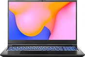 Игровой ноутбук CLEVO NP50DB (SW13893)