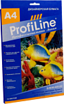 ProfiLine PL-MGMP-640-A4-10