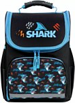 Пифагор Basic. Angry Shark 272044 Пифагор Basic. Angry Shark 272044