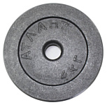 Атлант-Спорт крашеный 4 кг 26 мм