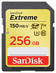 SanDisk SDSDXV5-256G-GNCIN