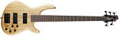 Cort Action DLX V AS