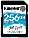 Kingston SDG/256GB