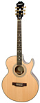 Epiphone PR-5E Natural