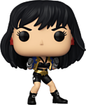 Funko POP! Heroes. 80th-WW The Contest 54974