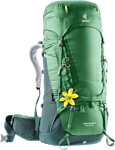 Deuter Aircontact 60+10 SL green (leaf forest)