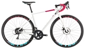 Cube Axial WS Pro Disc (2019)