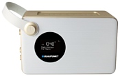 Blaupunkt PP16DAB