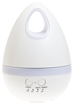 HRS Aroma Egg