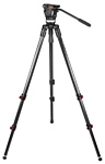 Sachtler System Ace L TT 75/2 CF