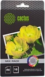 CACTUS Различная фактура универсальная 10x15 21 лист