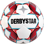 Derbystar Dynamic TT (5 размер)