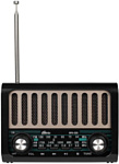 Ritmix RPR-020