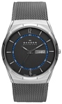 Skagen SKW6078