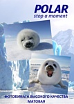 Polar матовая двухсторонняя A4, 220 г/м2, 20 л (A4D805020) Polar матовая двухсторонняя A4, 220 г/м2, 20 л (A4D805020)
