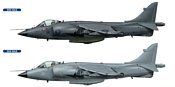 Hasegawa Палубный истребитель-бомбардировщик Sea Harrier FRS MK1 (2 kits)