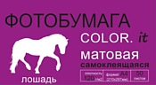 Color.it Матовая одностороння самоклеящаяся А4 120 г/кв.м. 50 листов