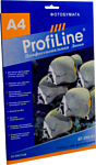 ProfiLine PL-GP-260-A4-25