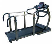 American Motion Fitness 8643E