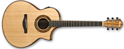 Ibanez AEW23ZW-NT