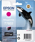 Epson C13T76034010