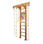 Kampfer Wooden Ladder Basketball Shield (wall)