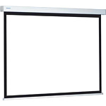 Projecta ProScreen 168x220 10200123