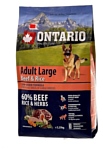 Ontario (2.25 кг) Adult Large Beef & Rice