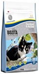 Bozita Feline Funktion Outdoor & Active dry food (10 кг)