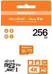 BreezyTech Ultra microSDXC Class 10/A2/V30 256GB (без адаптера)