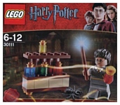 LEGO Harry Potter 30111 Зельеварение LEGO Harry Potter 30111 Зельеварение