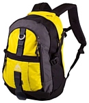 One Polar W731 25 yellow