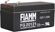 FIAMM FG20121